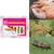 50 Pcs Insect Lures For Pink Boll Worm (Pectinophora Gossypiella)